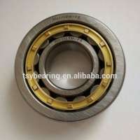 Cylindrical Roller Bearing NU202